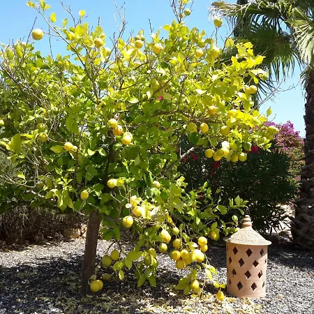 Сasa de vacaciones Alqueria Fosca Campos (Mallorca)