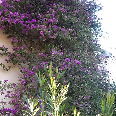 Holiday home Alqueria Fosca *
