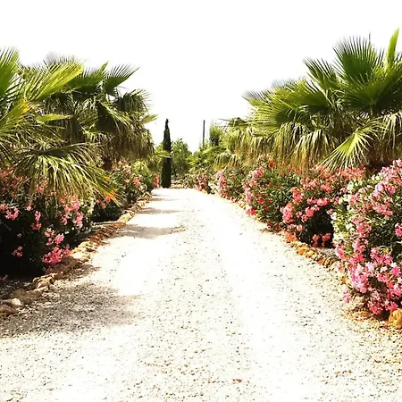 Holiday home Alqueria Fosca *